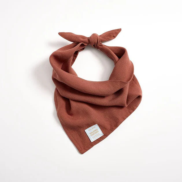 bandana en tencel pour chien couleur rouille