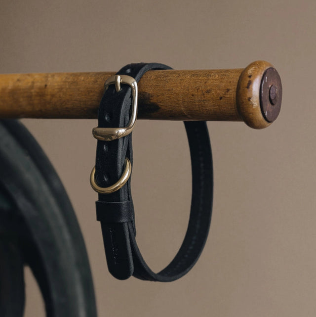 Collier noir en cuir pour chien mise en avant produit