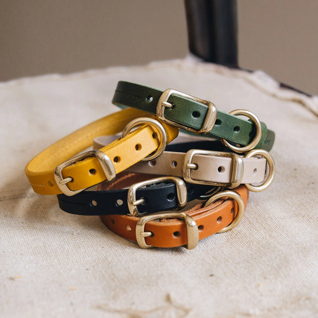 Colliers en cuir et de leurs coloris superposés