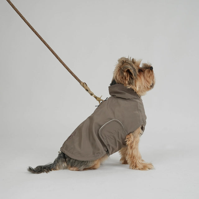 Présentation de l'imperméable pour chiens porté par un Yorkshire