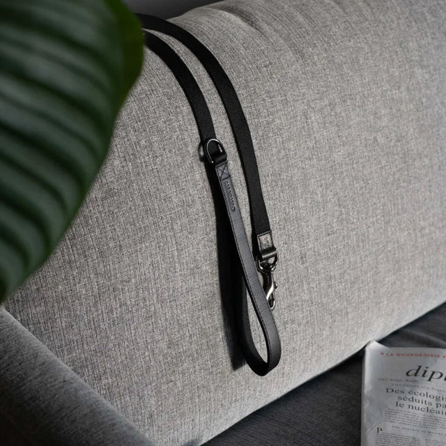 Laisse pour chien en tissu et cuir noir