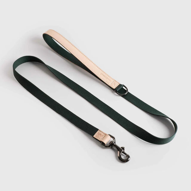 Laisse en tissu vert pour chien