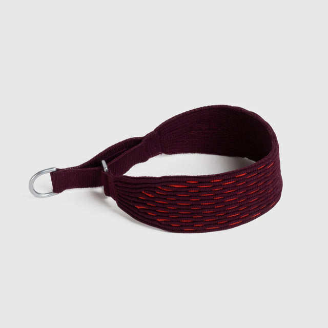 Collier rouge pour chiens