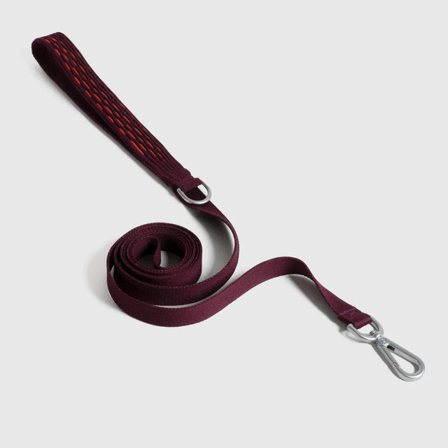 Laisse pour chien couleur lave