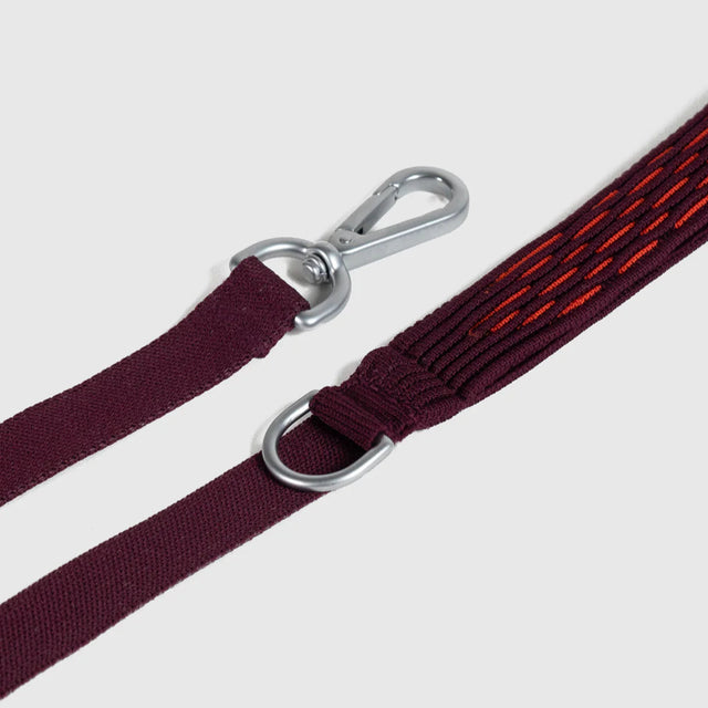 Laisse rouge pour chien