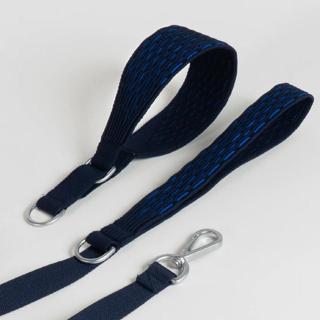 Ensemble de laisse et de collier bleus