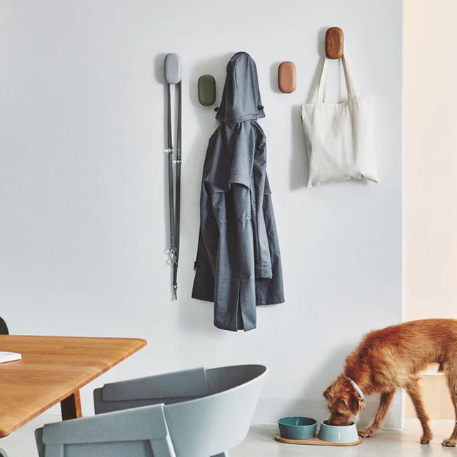 patère murale pour les laisses des chiens