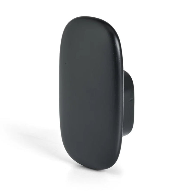 patère murale noire pour laisses de chien