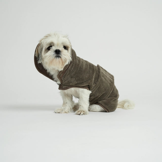 Présentation d'un peignoir porté par un bichon blanc