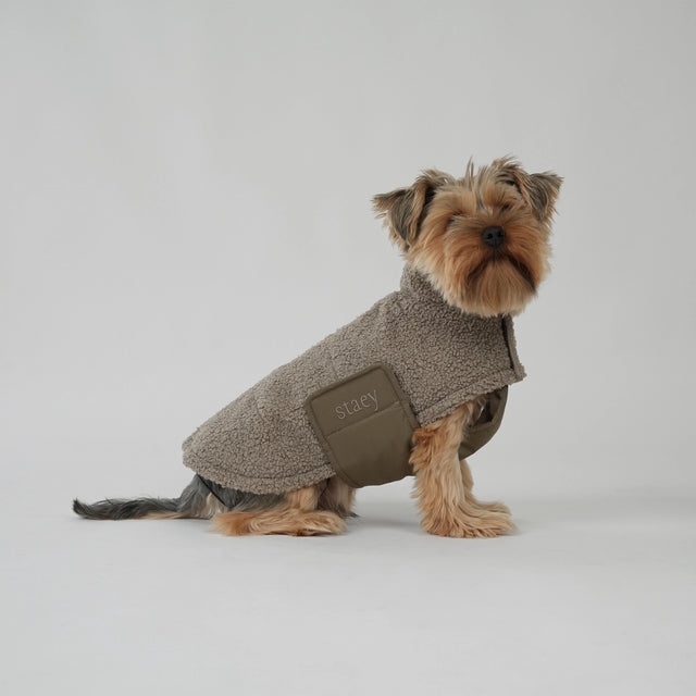 Présentation de la veste en polaire pour chien portée par un Yorkshire