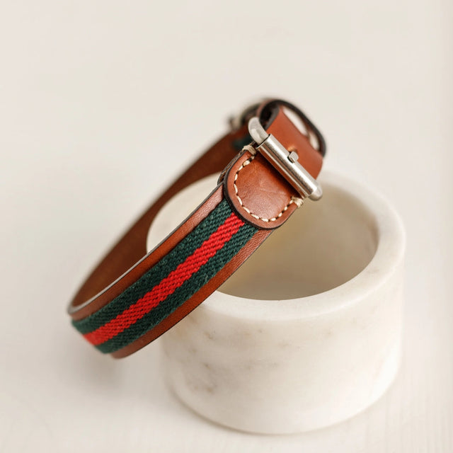 Zoom sur collier pour chien en cuir et en tissu