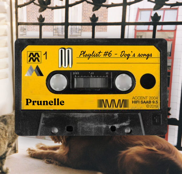 Playlist #6 - Dog's songs