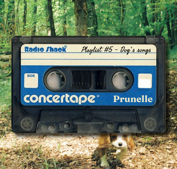 PLAYLIST #5 - DOG'S SONGS