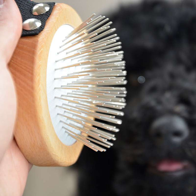 La Brosse - Chiens à poils longs