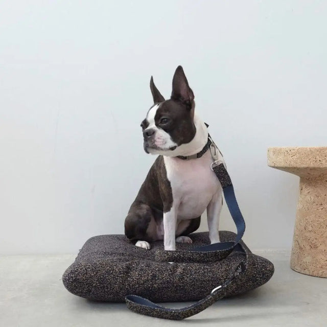 La Laisse Kvadrat - Indigo moucheté
