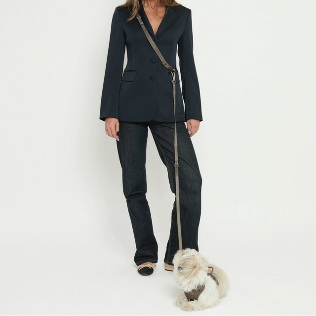 Laisse mains libres pour chien en sangle brune Mocca avec boucles argentées