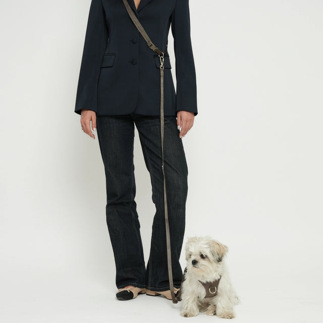 Laisse mains libres pour chien en sangle brune Mocca avec boucles argentées portée avec modèle et chien