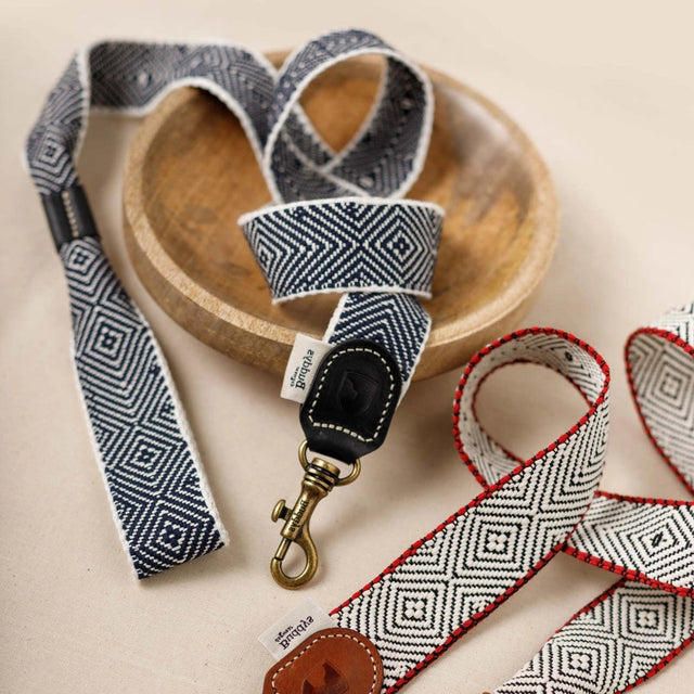 Laisse pour chien en cuir et en toile de coton italienne sur présentoir