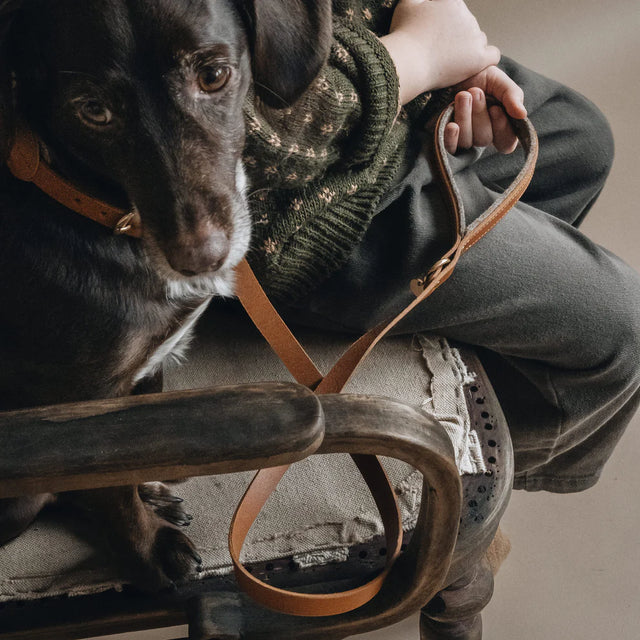 Laisse courte en cuir pour chien