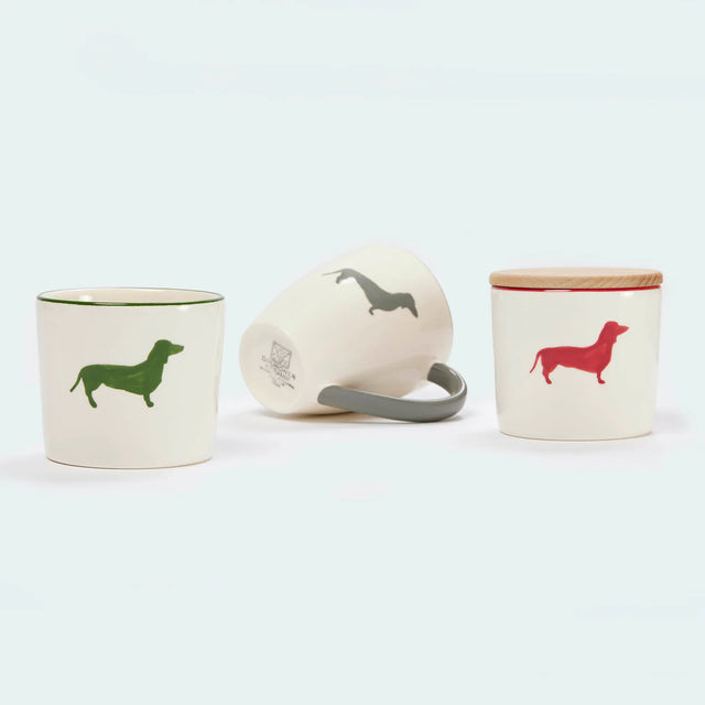 Boîte à biscuits avec une tasse pour chien