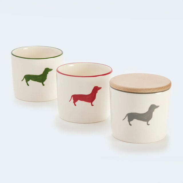Boîte à biscuits pour chien avec coloris différents