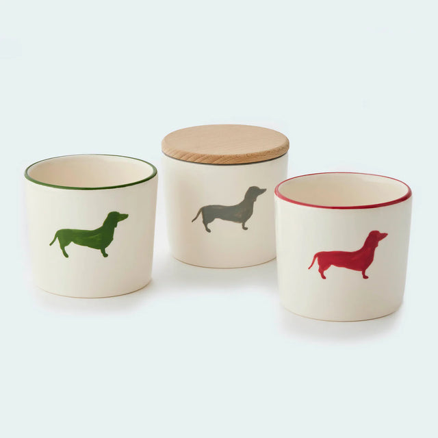 Boîtes à biscuits pour chien plusieurs coloris