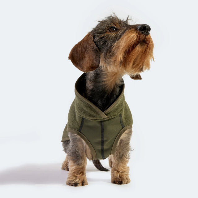 Manteau pour chien en polaire couleur olive porté par un teck vue de face sur fond neutre