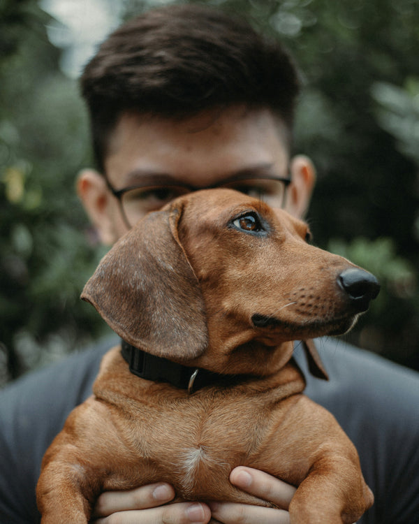 MARCEL, 4 ans — PARIS