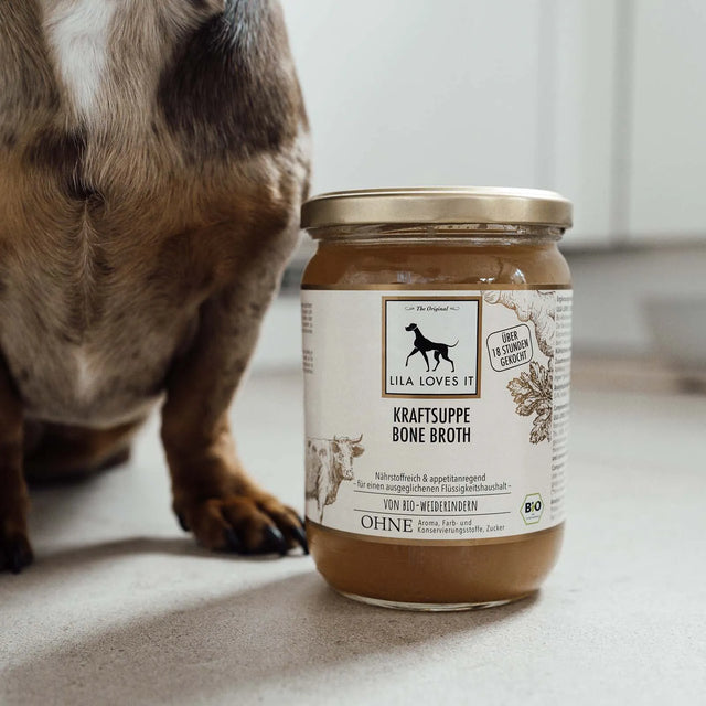 bouillon d'os et soupe pour chien