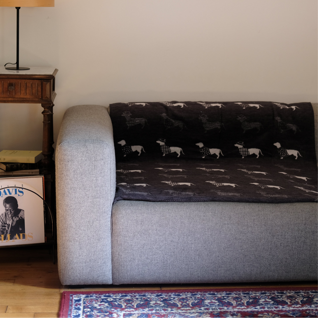 Couverture pour chien à motifs teckel dans un salon