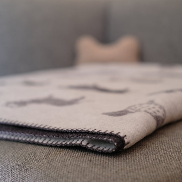 Couverture pour chien à motifs teckel sur un canapé avec un jouet en arrière plan