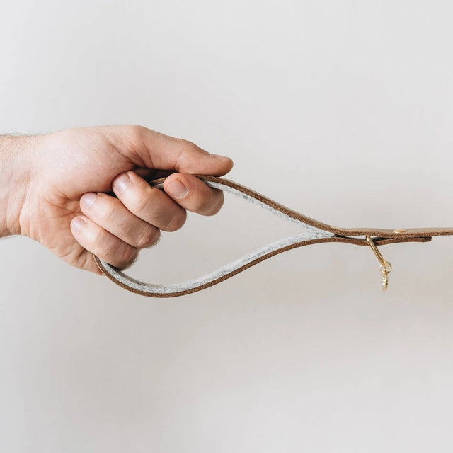 Poignée de la laisse courte pour chien renforcée par du feutre