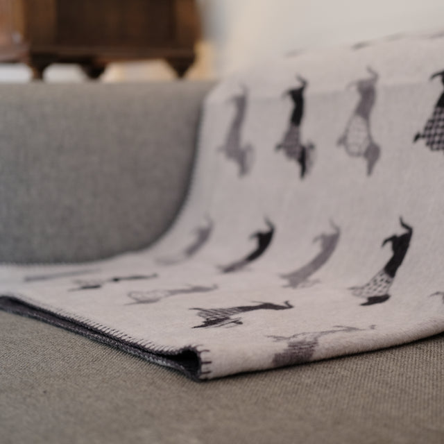 Couverture pour chien à motifs teckel sur un canapé