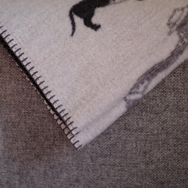 Zoom sur la maille du plaid pour chiens à motif teckel