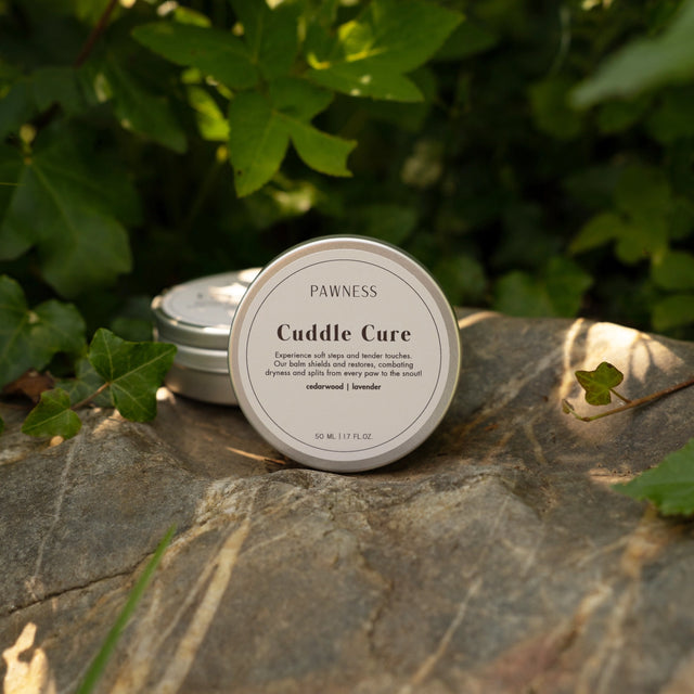 Baume pour chien sur un rocher sur fond naturel