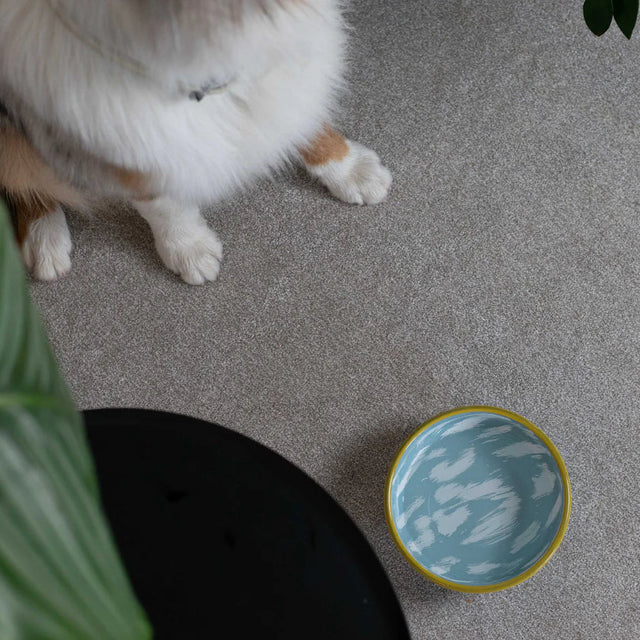 Mise en situation de la gamelle pour chien bleu ciel