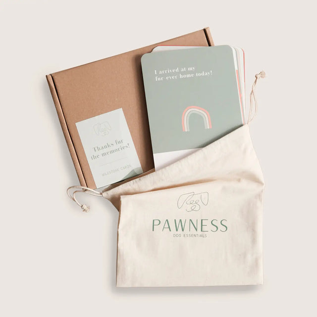 Présentation du coffret des cartes étapes