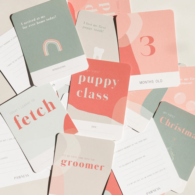 Présentation des cartes d'étapes pour chiot