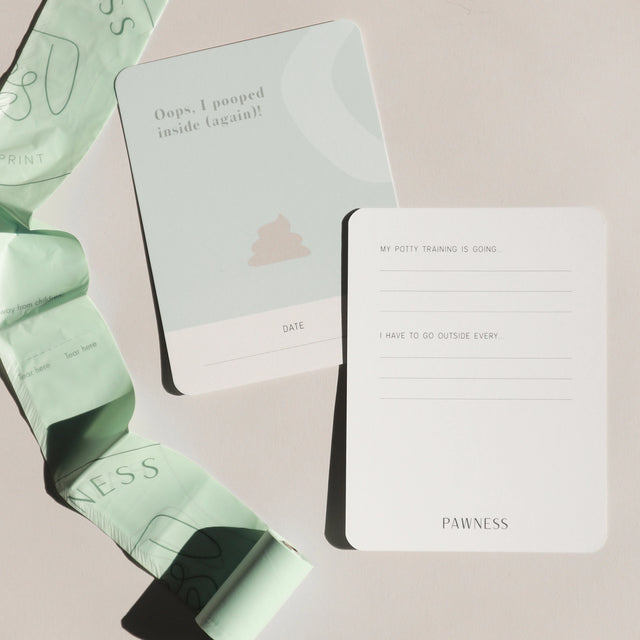 Exemple de cartes d'étapes pour chiot