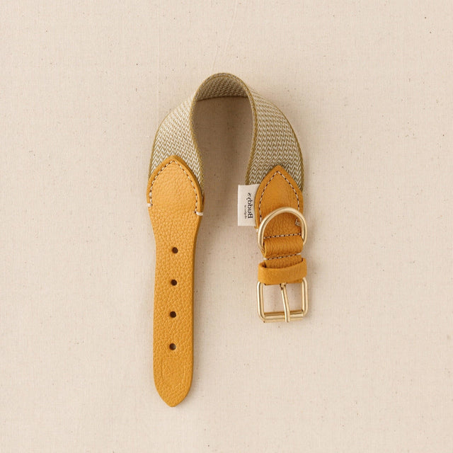Collier jaune en tissu et cuir pour chien