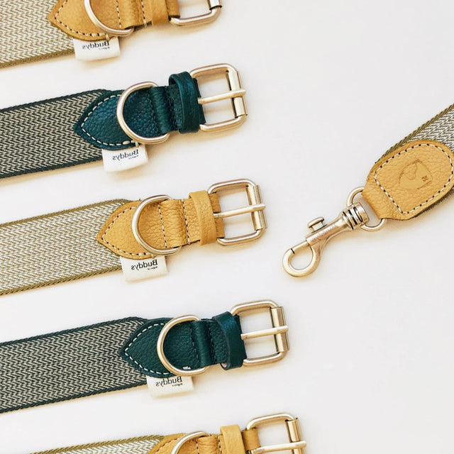 Collier vert ou jaune en tissu et cuir pour chien
