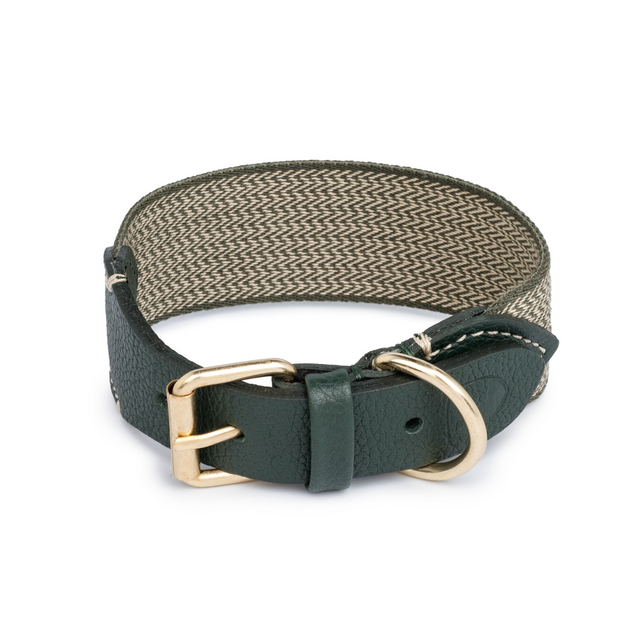 Collier vert en tissu et cuir pour chien