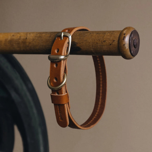 Collier en cuir pour chien présentation