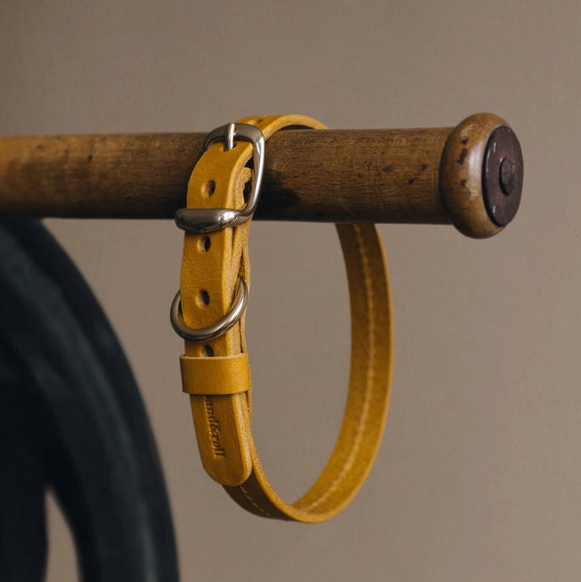 Collier en cuir jaune pour chien mise en avant du produit 