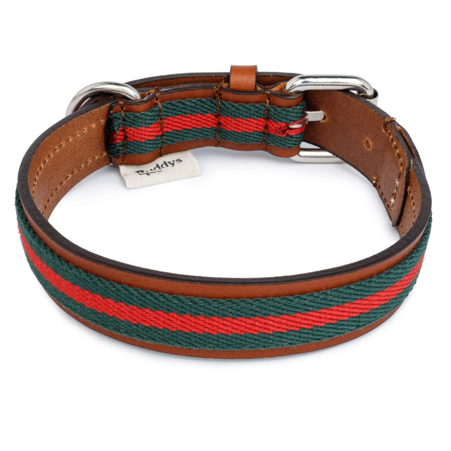 Collier en cuir et en tissu vert pour chien