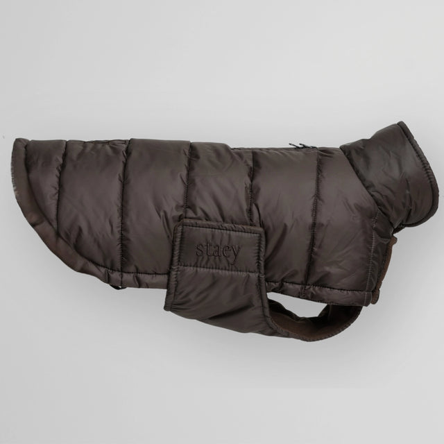 Présentation générale de la doudoune molletonnée pour chien