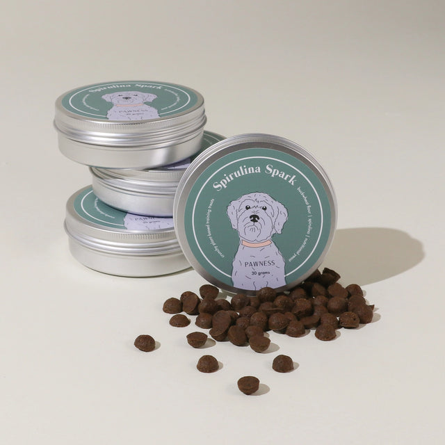 Suggestion de présentation de friandise d'entraînement pour chien