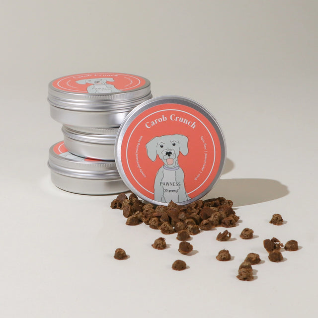 Suggestion de présentation de snacks pour chien