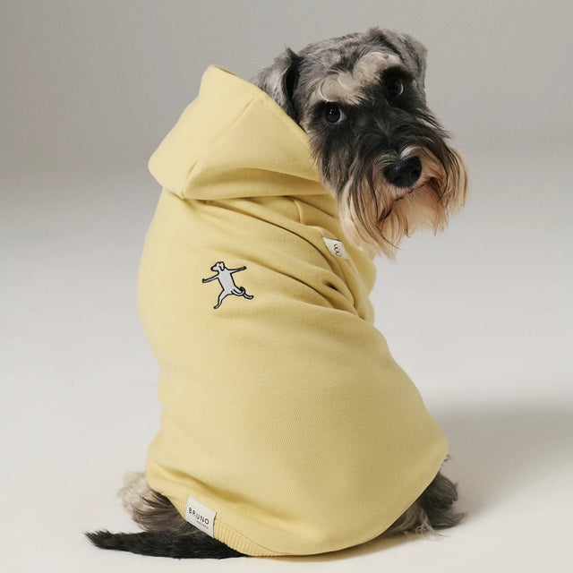 Chien de dos portant un hoodie jaune en coton
