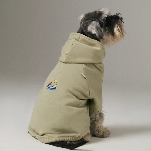 Chien de dos portant un hoodie avec un dessin imprimé